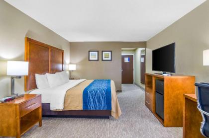 Comfort Inn Ottawa - image 10
