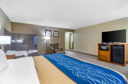 Comfort Inn Ottawa - image 13