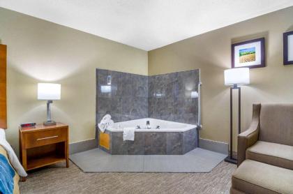 Comfort Inn Ottawa - image 14