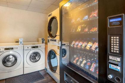 Quality Inn - image 5