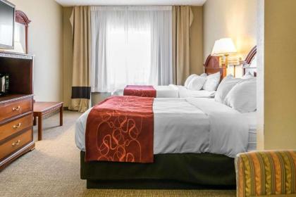 Comfort Suites Owensboro - image 2
