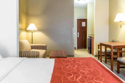 Comfort Suites Owensboro - image 3