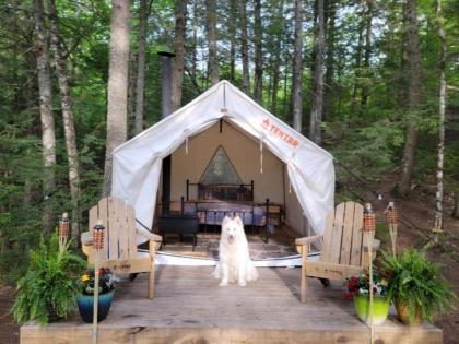 Luxury tents in Oxford Maine