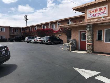 Flamingo Motel Oxnard - image 2