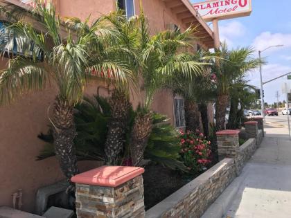 Flamingo Motel Oxnard - image 3