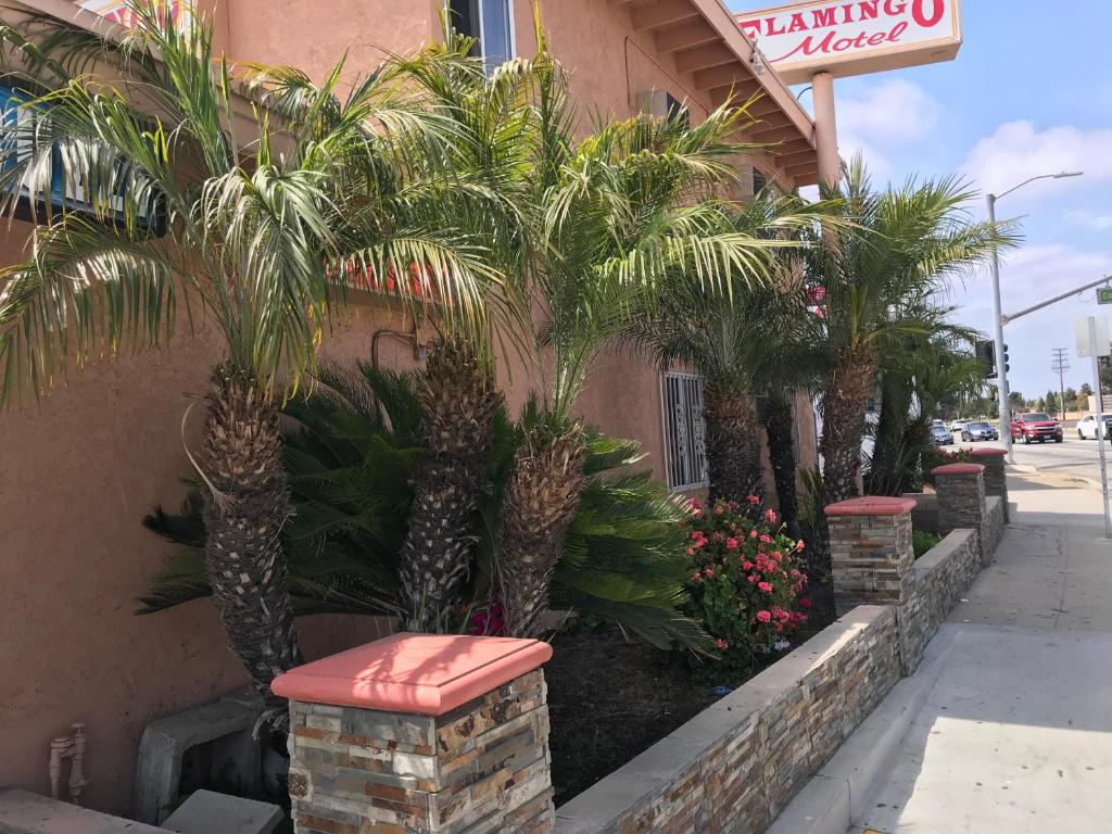 Flamingo Motel Oxnard - image 3