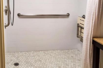 Comfort Inn Oxon Hill - image 15