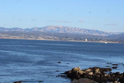 Walking Distance to Beach and Monterey Bay - image 12