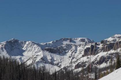 Pines 4039 - image 2