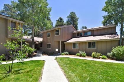 Pines 4039 - image 5
