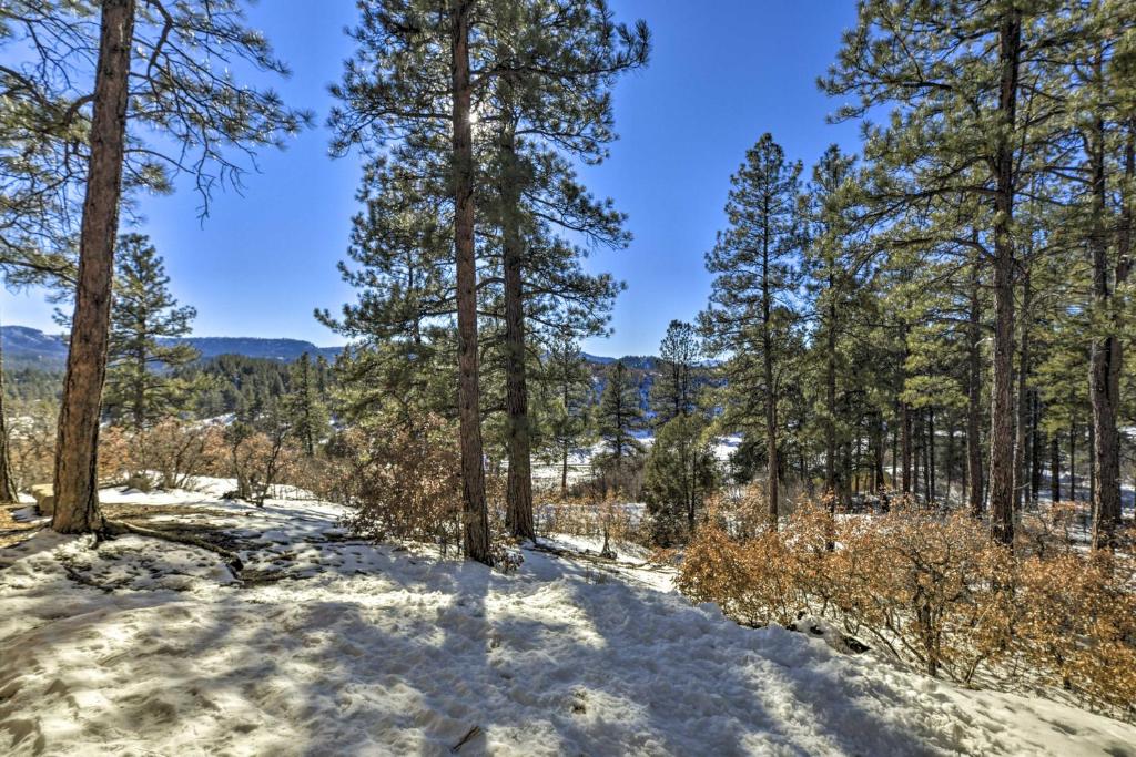 Quiet Cottage with Hot Tub Backs up to Natl Forest - image 3