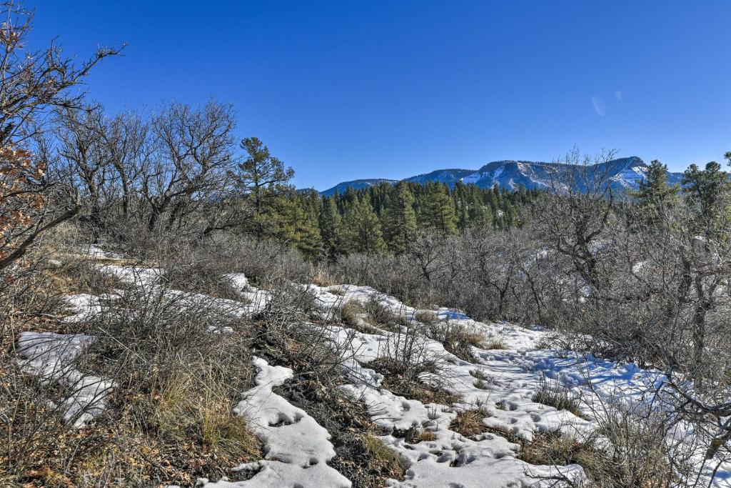Quiet Cottage with Hot Tub Backs up to Natl Forest - image 4