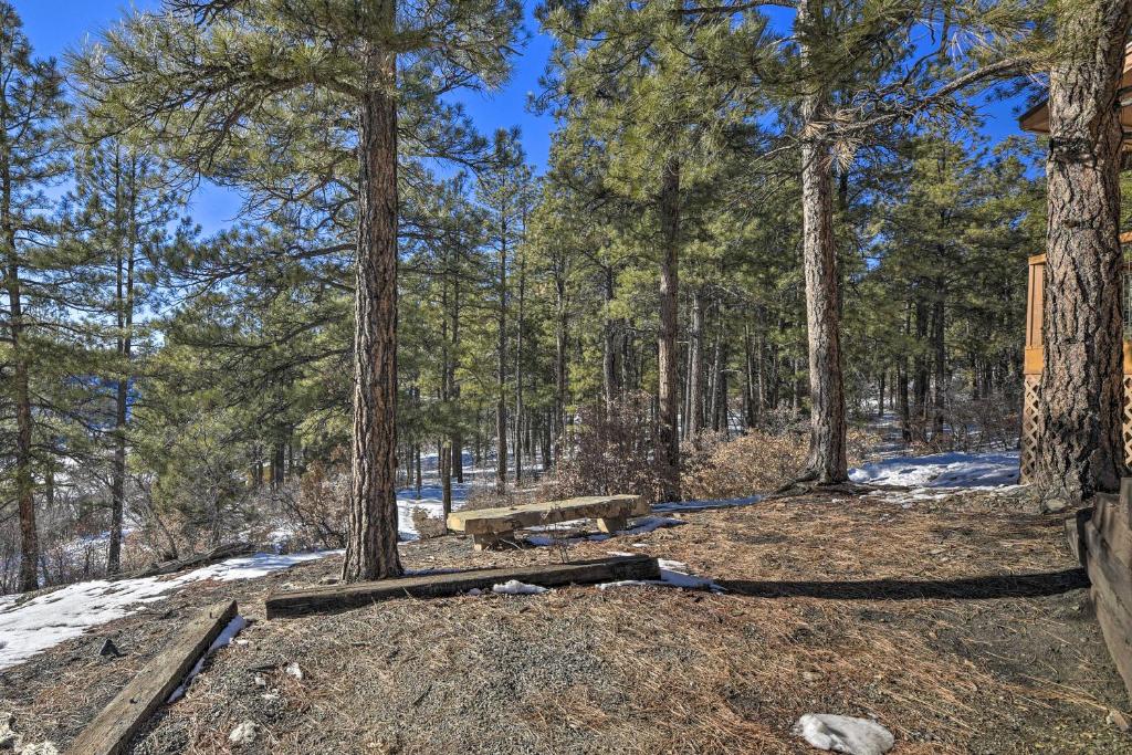 Quiet Cottage with Hot Tub Backs up to Natl Forest - image 5