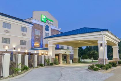 Holiday Inn Express Palestine an IHG Hotel - image 13