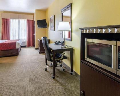Comfort Suites Palestine - image 11