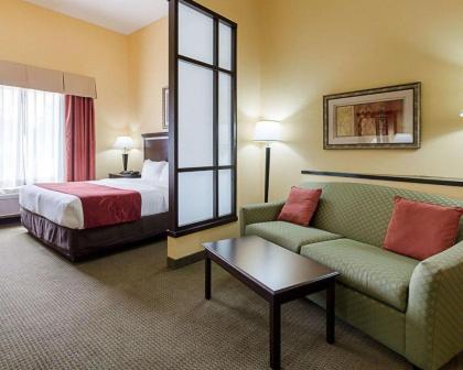 Comfort Suites Palestine - image 12