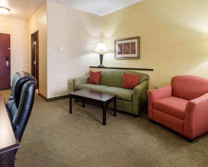 Comfort Suites Palestine - image 15