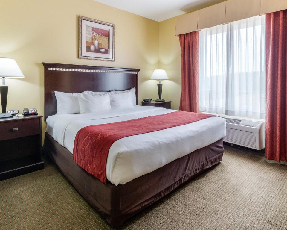 Comfort Suites Palestine - image 2