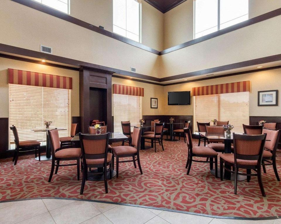 Comfort Suites Palestine - image 4