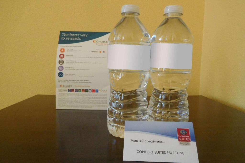 Comfort Suites Palestine - image 5