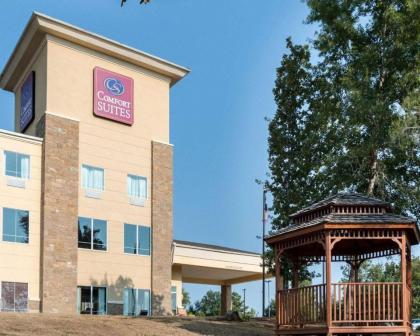 Comfort Suites Palestine - image 6