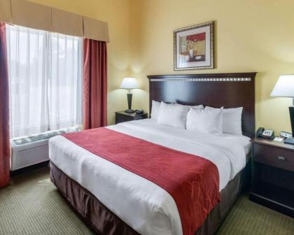 Comfort Suites Palestine - image 9