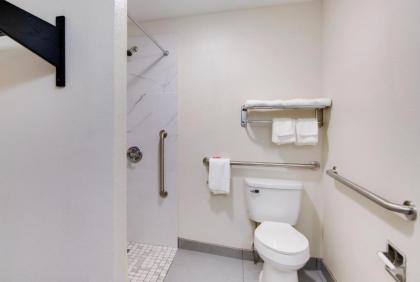 Econo Lodge Palestine - image 14