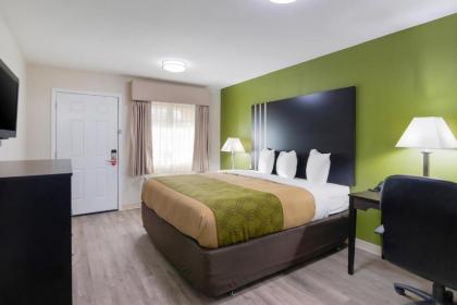 Econo Lodge Palestine - image 4