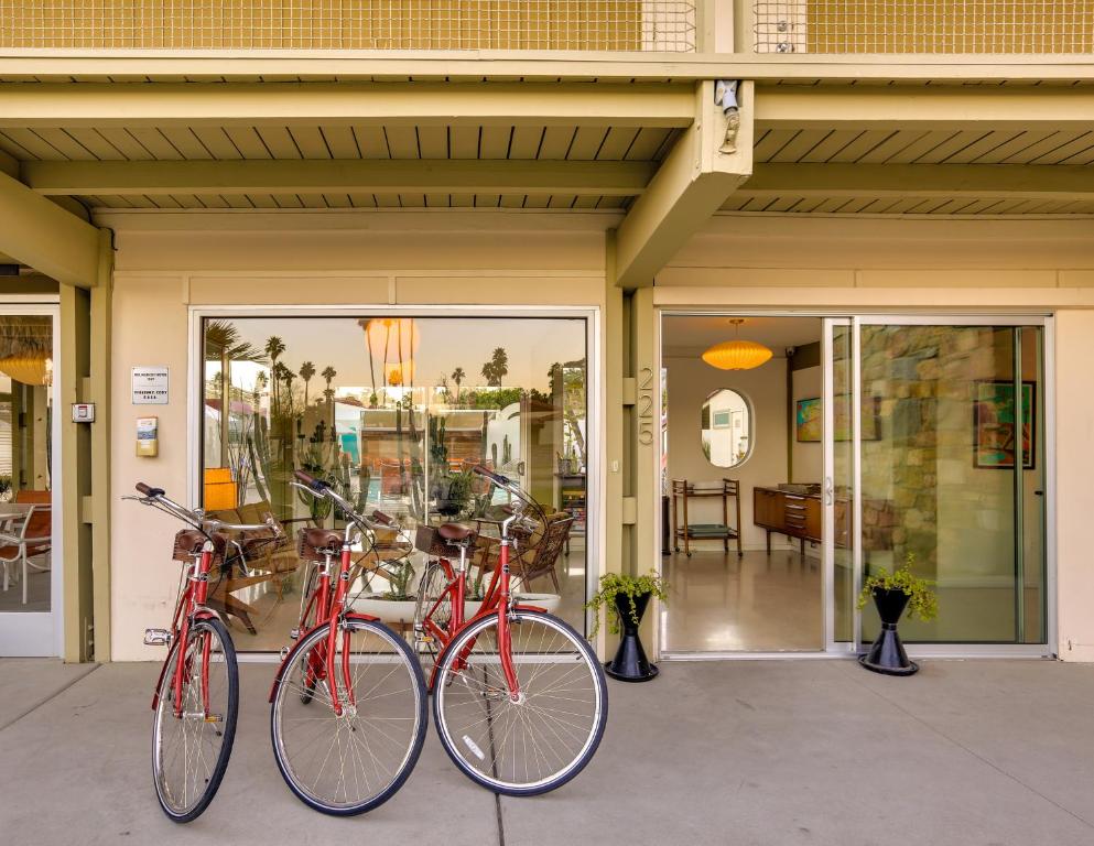 Del Marcos Hotel - Adults Only 21 & Up - image 3