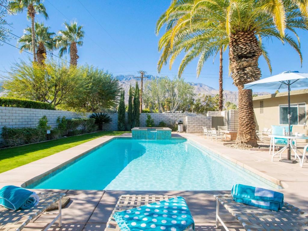 Canary Palms - image 3