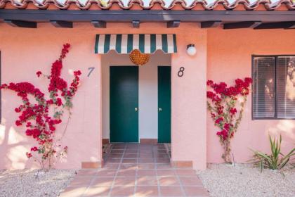 Les Cactus - image 13