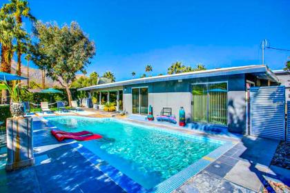 Meet Me in Palm Springs! - image 3