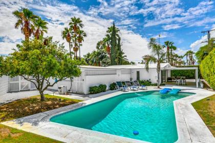 Palm Springs Midcentury Alexander - image 3