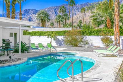 Twin Palms Modern - image 12