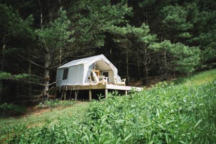 Tentrr - Forest Hideaway - image 3