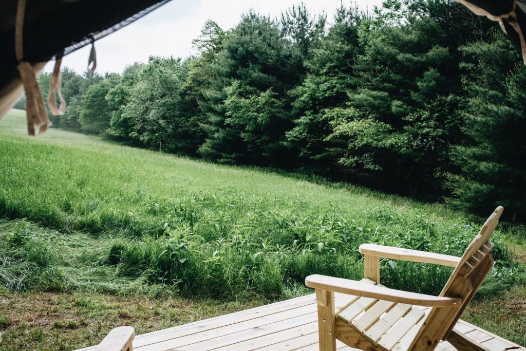 Tentrr - Forest Hideaway - image 7