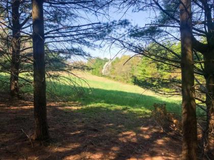 Tentrr - Forest Hideaway - image 8