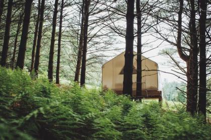 Tentrr - Forest Hideaway - image 9