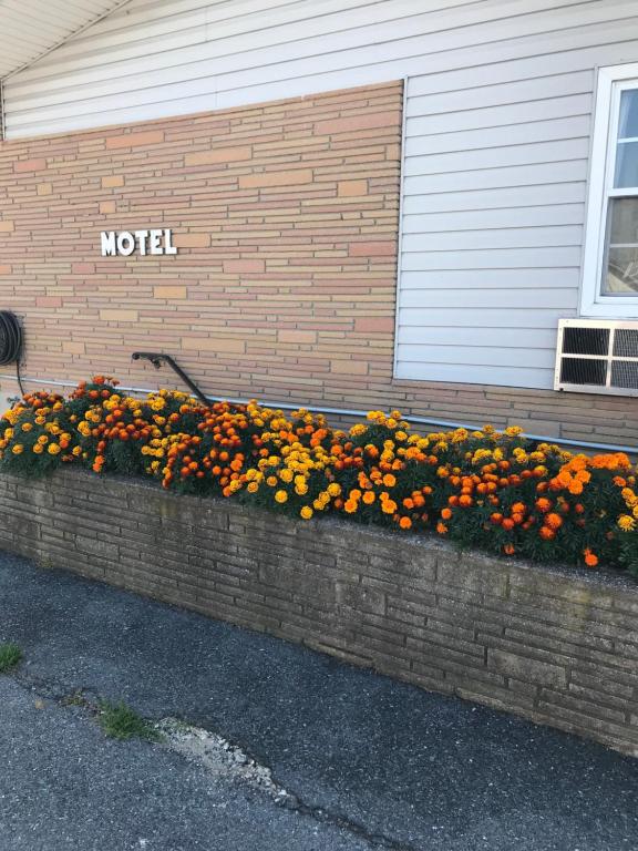 Dutch Motel Palmyra - image 4
