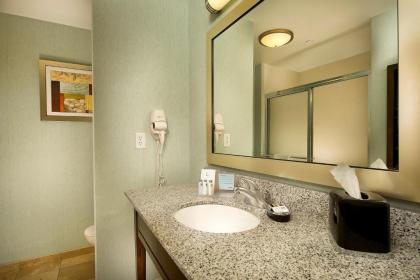 Hampton Inn Pampa - image 4