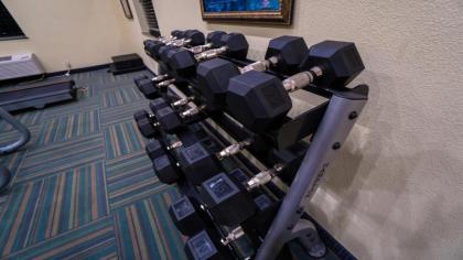 Holiday Inn Express Hotel & Suites Pampa an IHG Hotel - image 15