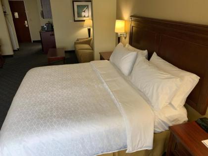Holiday Inn Express Hotel & Suites Pampa an IHG Hotel - image 3