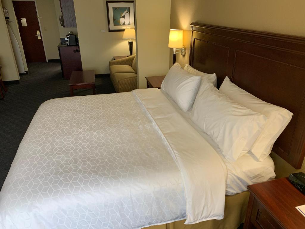 Holiday Inn Express Hotel & Suites Pampa an IHG Hotel - image 3