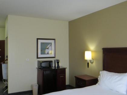 Holiday Inn Express Hotel & Suites Pampa an IHG Hotel - image 8