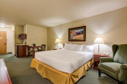 Grand River Hotel - image 13