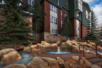 Marriott's MountainSide - image 3
