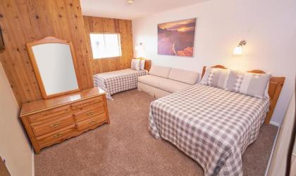 Chateau Apres Lodge - image 3