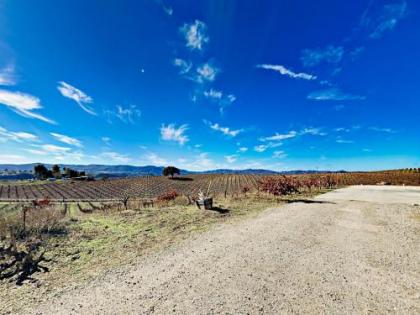 Wine Enthusiast Escape Home Home - image 3