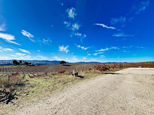 Wine Enthusiast Escape Home Home - image 3