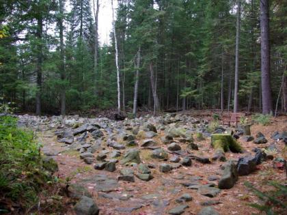 White Pine Camp - image 14